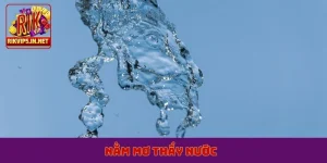 nằm mơ thấy nước